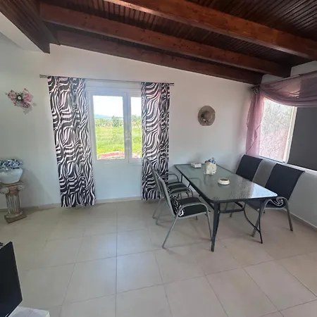 Sofia's House