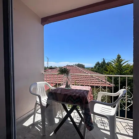Sofia's House