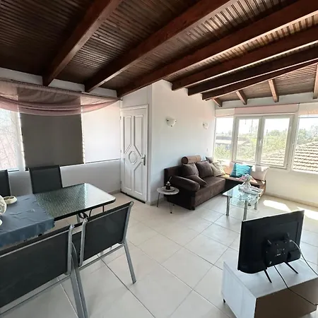 Sofia's House
